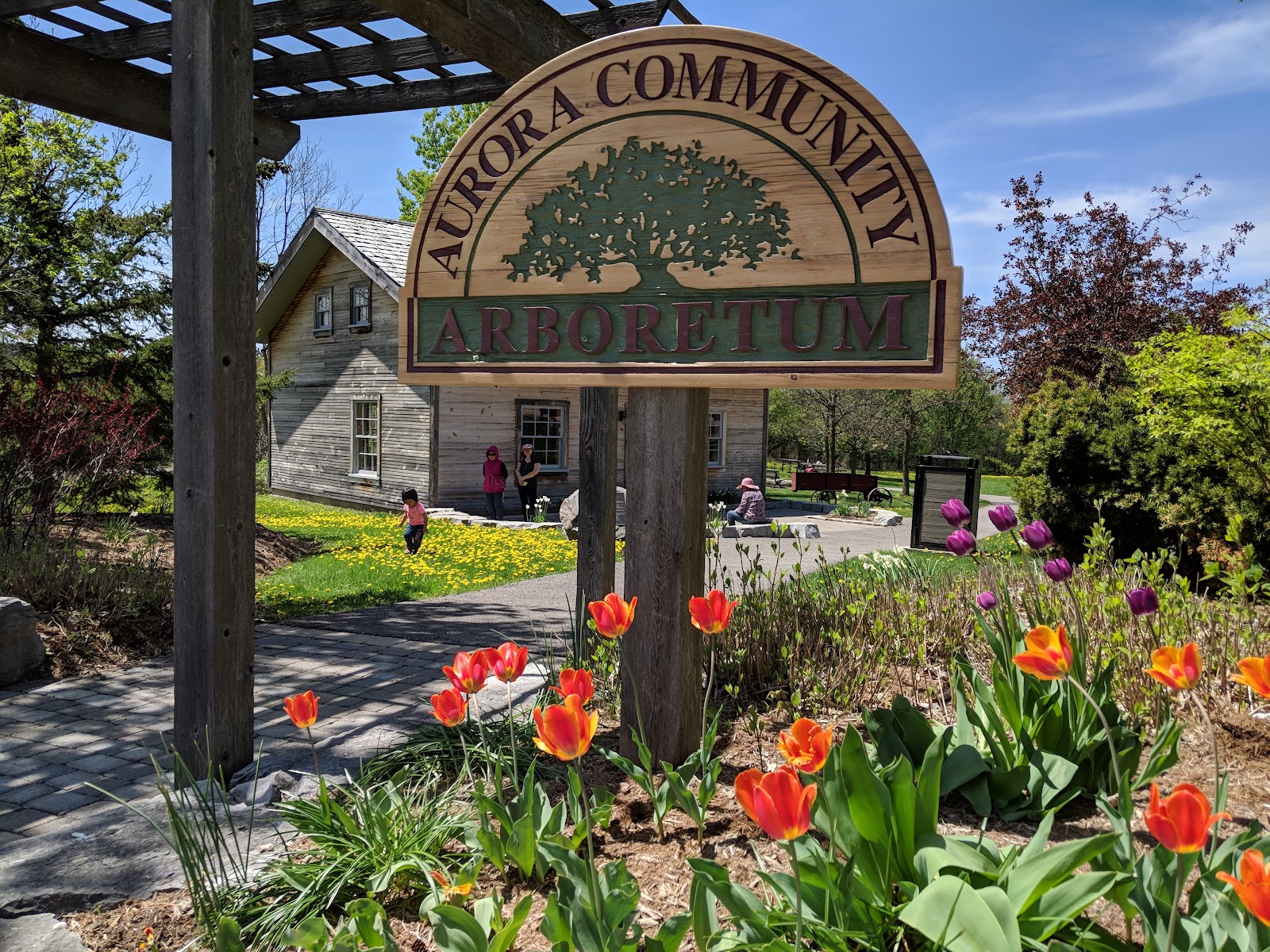 Aurora Community Impact Walk